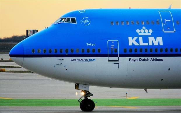 Bird Stops KLM Flight To Amsterdam 