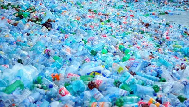 Threatened By Non-Biodegradable Plastics