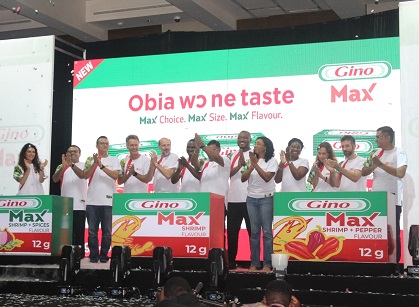 Gino Unveils New Seasoning Products - DailyGuide Network