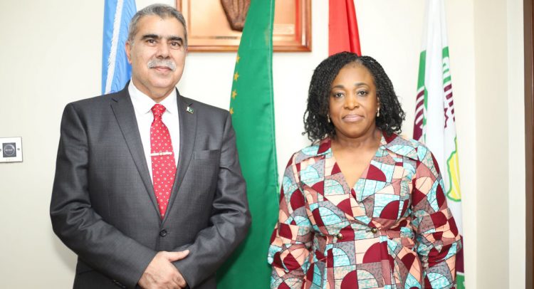 Foreign Minister Pushes For Strengthening Of Ghana-Pakistan Cooperation