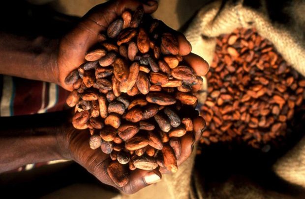 Gov’t Injects $600m Into Cocoa Sector