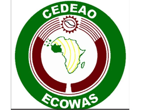 ECOWAS Sanctions Mali Over Delayed Elections