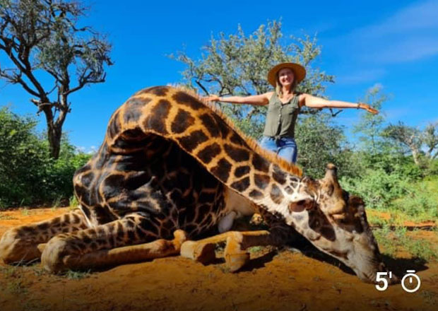Netizens Blast Sa Woman For Brutally Killing Giraffe Posing With Its Heart Dailyguide Network 