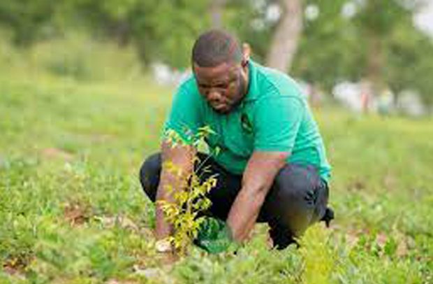 Our Trees, Our Lives