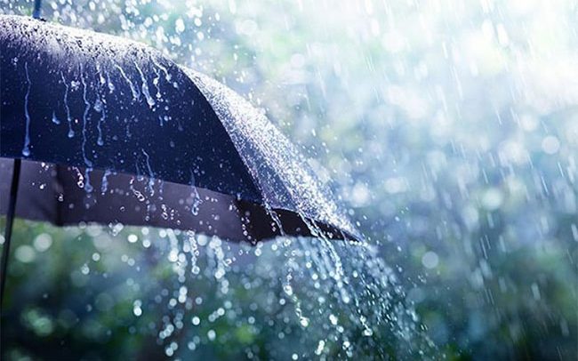 The Rainy Season - DailyGuide Network