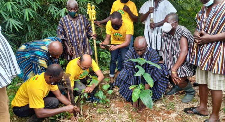 Let’s Save Our Environment By Planting Trees- EU To Ghanaians