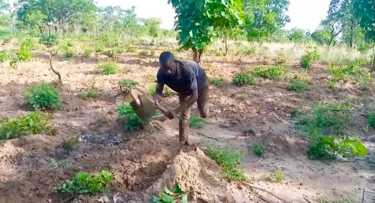 Physically Challenged Man Ventures Into Farming To Feed Himself and Aged Mother