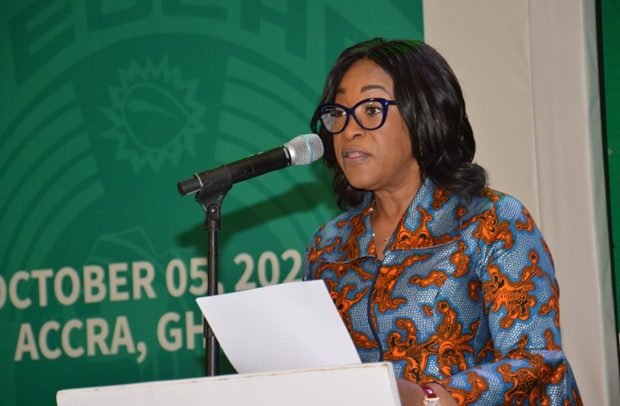 Shirley Ayorkor Tasks ECOWAS Council of Ministers