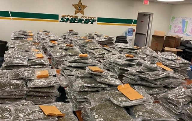 Florida Sheriff Trolls Dealers Online After Seizing 770 Pounds of Pot