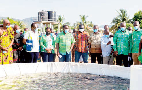 117 Get Fish Ponds From Bui Power Authority