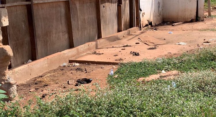 Patients Health Threatened As Open Defecation Hits Tamale Teaching Hospital