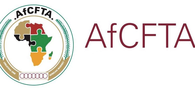 Aya Institute, GIZ Assess AFCFTA Benefits For Women- Led Businesses