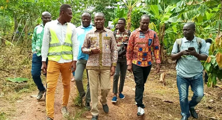 Boost For Cocoa Farmers At Kumikrom