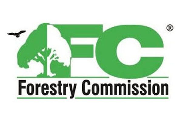Massive Shake-Up At Forestry Commission