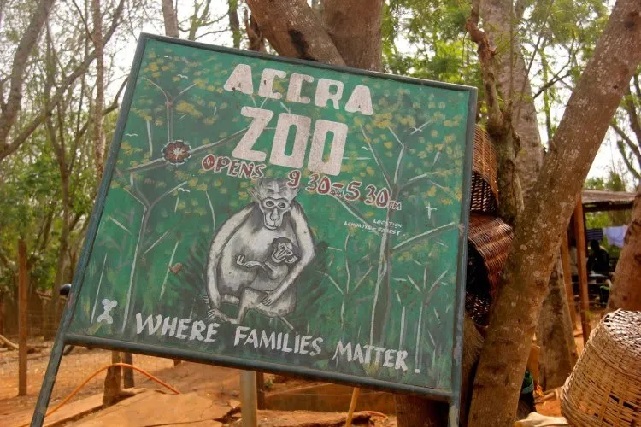 Accra Zoo Shutdown – DailyGuide Network