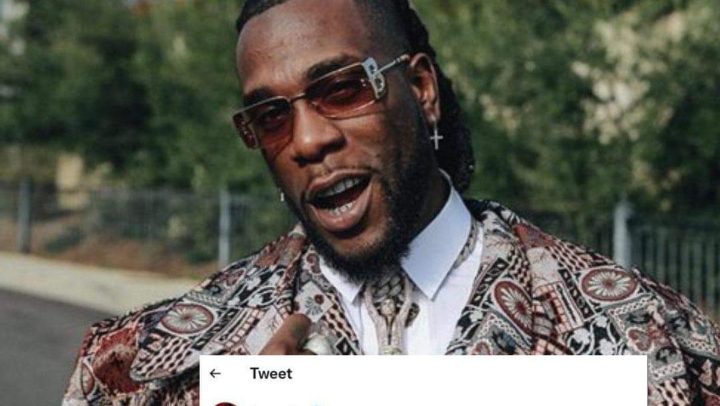 I Came Into Music Industry From Prison, Burna Boy Reveals