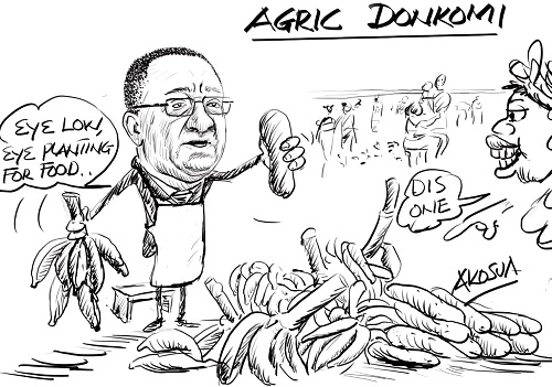AGRIC DONKOMI