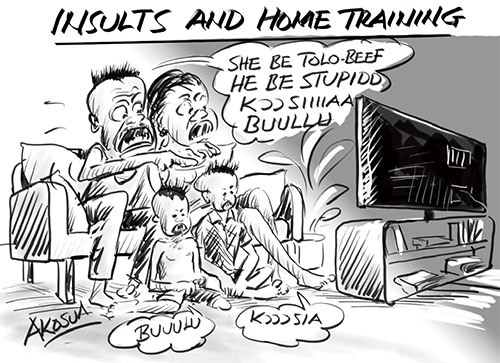 INSULTS AND HOME TRAINING