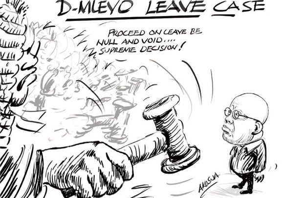 D-MLEVO LEAVE CASE