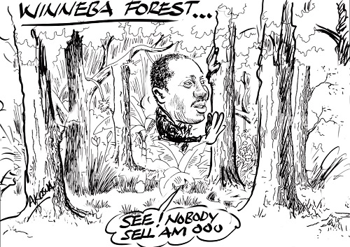 WINNEBA FOREST…