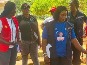 NPP Loyal Ladies Club Embarks On Door-To-Door Campaign