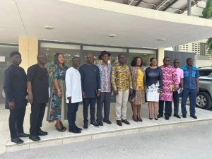 Energy Minister Forms ECG Privatization Committee